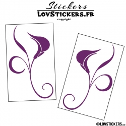 2 Stickers Florale - Deco auto voiture