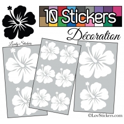 10 Stickers Hibiscus Mixte - Autocollant Décoration Intérieur