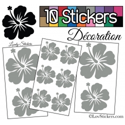 10 Stickers Hibiscus Mixte - Autocollant Décoration Intérieur