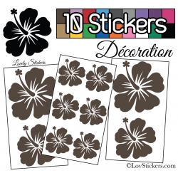 10 Stickers Hibiscus Mixte - Autocollant Décoration Intérieur