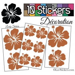 10 Stickers Hibiscus Mixte - Autocollant Décoration Intérieur