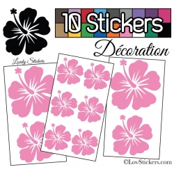 10 Stickers Hibiscus Mixte - Autocollant Décoration Intérieur