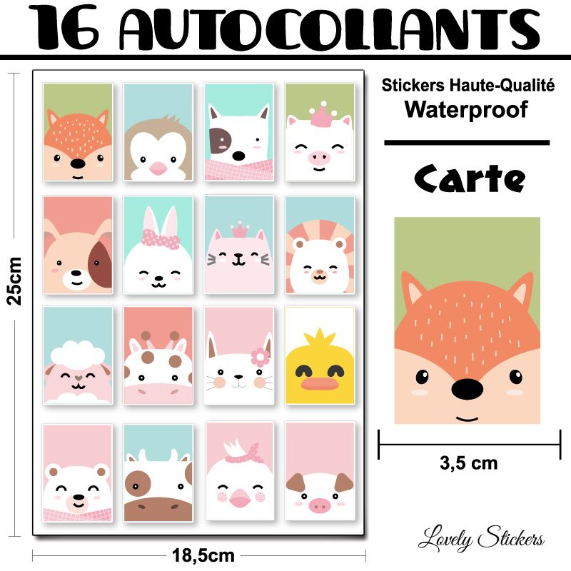 16 cartes autocollantes 16 cartes autocollantes