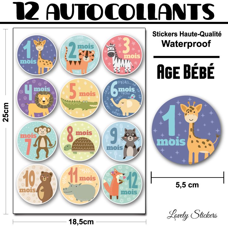 Stickers Age Bebe 1 A 12 Mois Stickers Age Bebe 1 A 12 Mois
