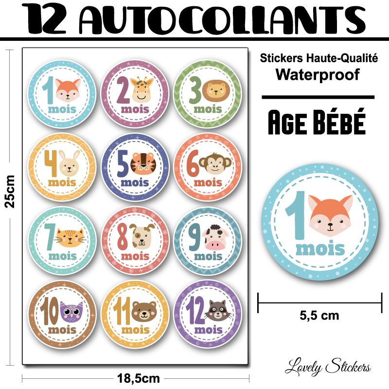 Stickers Age bébé de 1 à 12 mois Stickers Age bébé de 1 à 12 mois