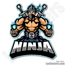4 Stickers eSport Ninja 02