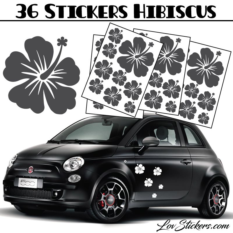Kit Stickers Déco Voiture Arabesque Fleurs - Autocollant