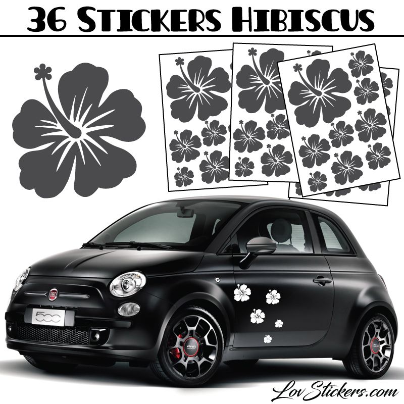 Stickers d'Hibiscus lot de 36 - Taille de 3 à 10 cm Stickers d'Hibiscus lot de 36 - Taille de 3 à 10 cm