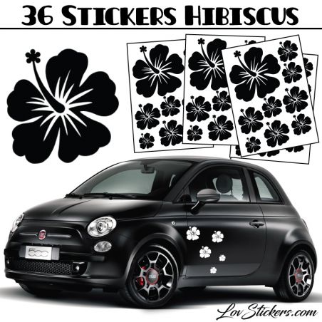 Stickers d'Hibiscus lot de 36 - Taille de 3 à 10 cm Stickers d'Hibiscus lot de 36 - Taille de 3 à 10 cm