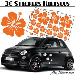 Stickers d'Hibiscus lot de 36 - Taille de 3 à 10 cm