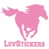 Stickers Cheval de decoration murale en vinyle