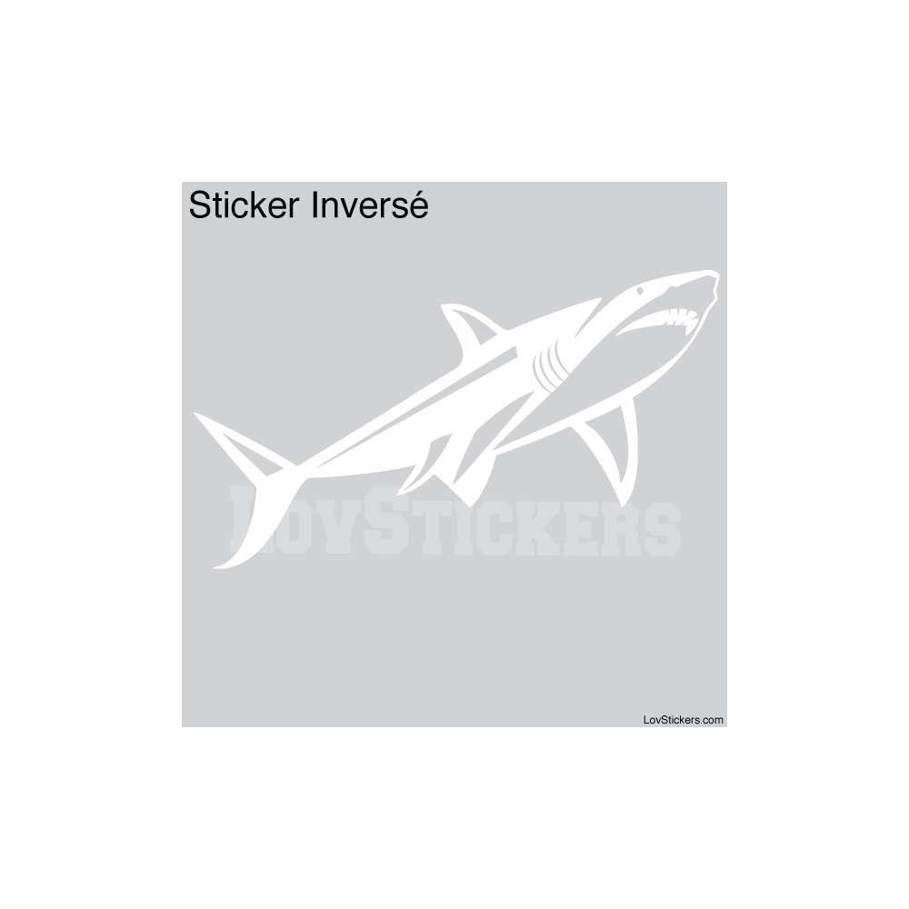 Stickers Requin - Décoration intérieur en Vinyle - Nombreux coloris