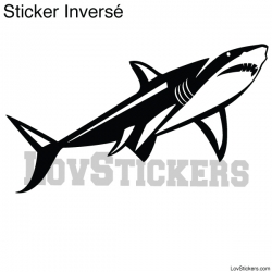 Stickers Requin - Décoration intérieur en Vinyle - Nombreux coloris