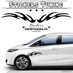 Stickers de decoration tuning voiture vinyle carbon bandes laterale tribal flamme