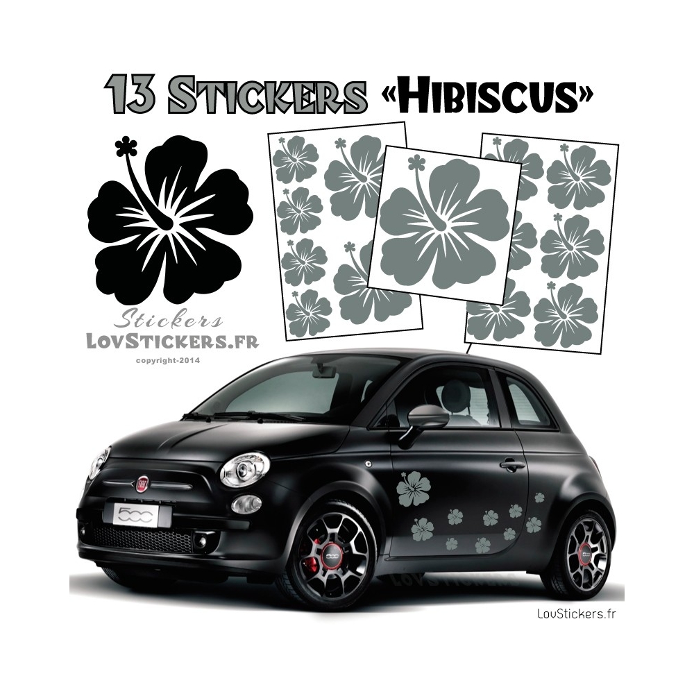 13 Stickers Hibiscus - Deco auto voiture pas cher autocollant 13 Stickers Hibiscus - Deco auto voiture pas cher autocollant