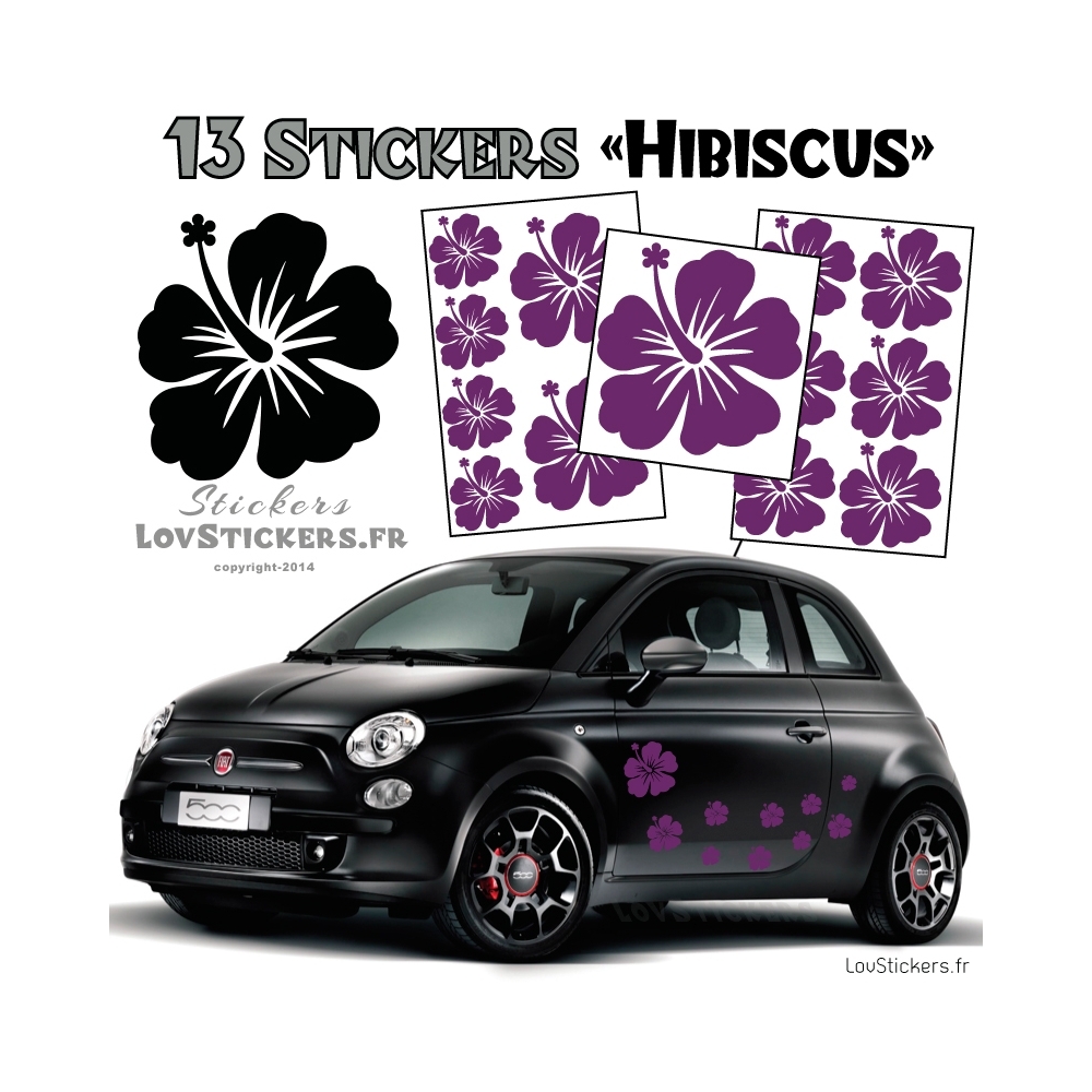 13 Stickers Hibiscus - Deco auto voiture pas cher autocollant 13 Stickers Hibiscus - Deco auto voiture pas cher autocollant