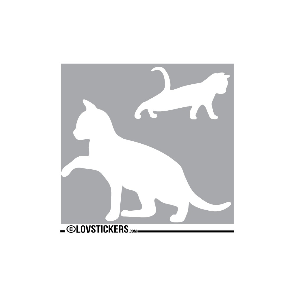 Sticker Chaton qui se réveil avec sa Maman - Décoration intérieur en Vinyle - Nombreux coloris Sticker Chaton qui se réveil avec sa Maman - Décoration intérieur en Vinyle - Nombreux coloris