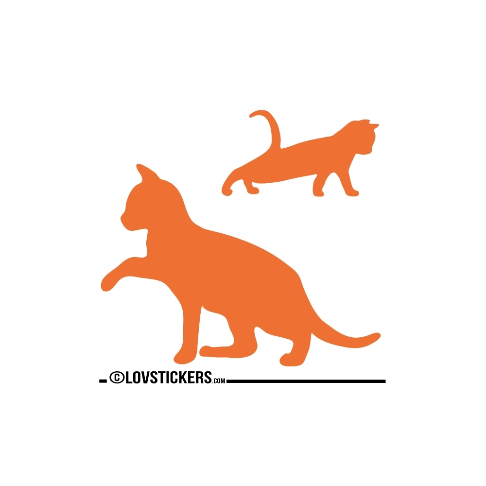 Sticker Chaton qui se réveil avec sa Maman - Décoration intérieur en Vinyle - Nombreux coloris Sticker Chaton qui se réveil avec sa Maman - Décoration intérieur en Vinyle - Nombreux coloris