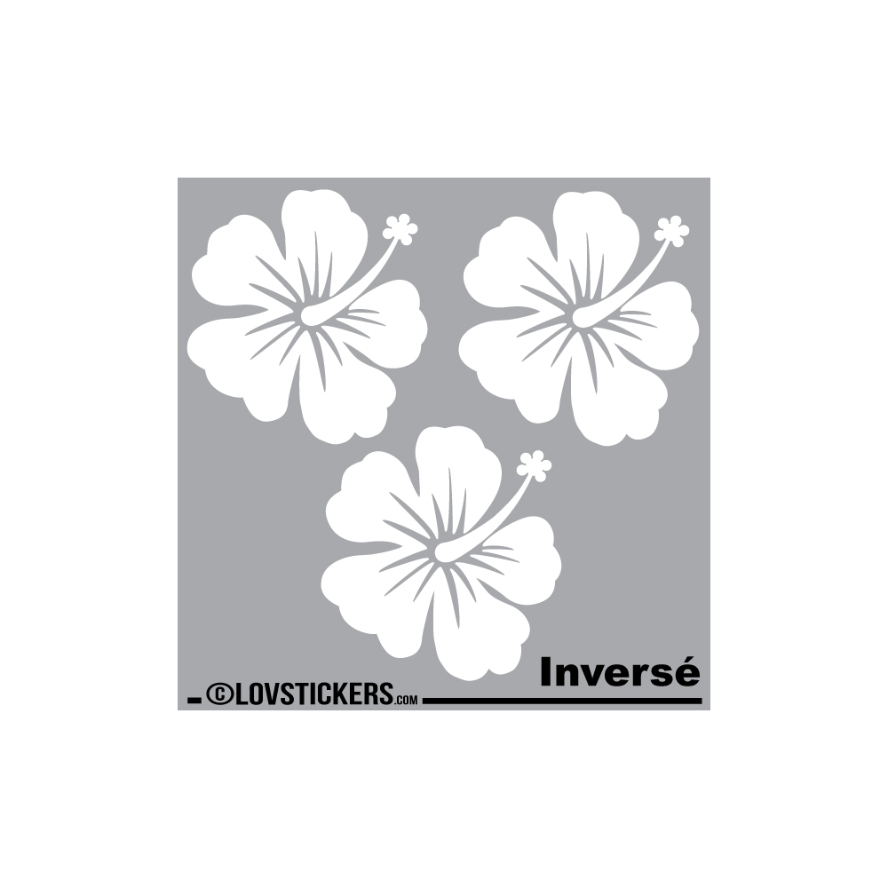 3 Sticker Hibiscus 20 cm - Décoration intérieur en Vinyle - Nombreux coloris