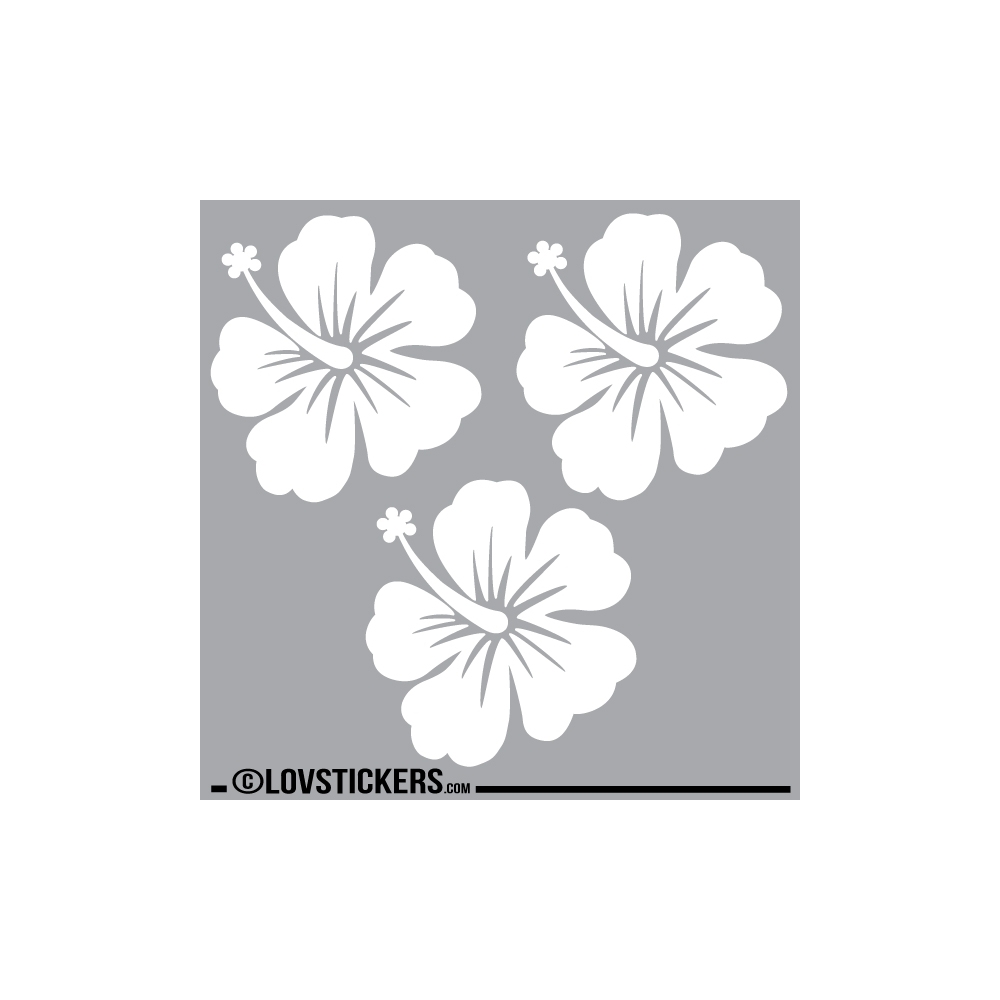 3 Sticker Hibiscus 20 cm - Décoration intérieur en Vinyle - Nombreux coloris