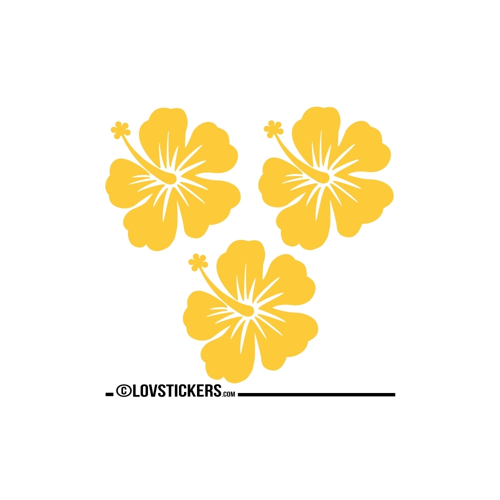 3 Sticker Hibiscus 20 cm - Décoration intérieur en Vinyle - Nombreux coloris 3 Sticker Hibiscus 20 cm - Décoration intérieur en Vinyle - Nombreux coloris