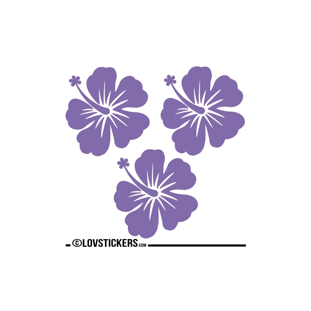 3 Sticker Hibiscus 20 cm - Décoration intérieur en Vinyle - Nombreux coloris 3 Sticker Hibiscus 20 cm - Décoration intérieur en Vinyle - Nombreux coloris