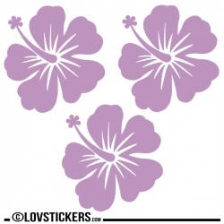 3 Sticker Hibiscus 20 cm - Décoration intérieur en Vinyle - Nombreux coloris