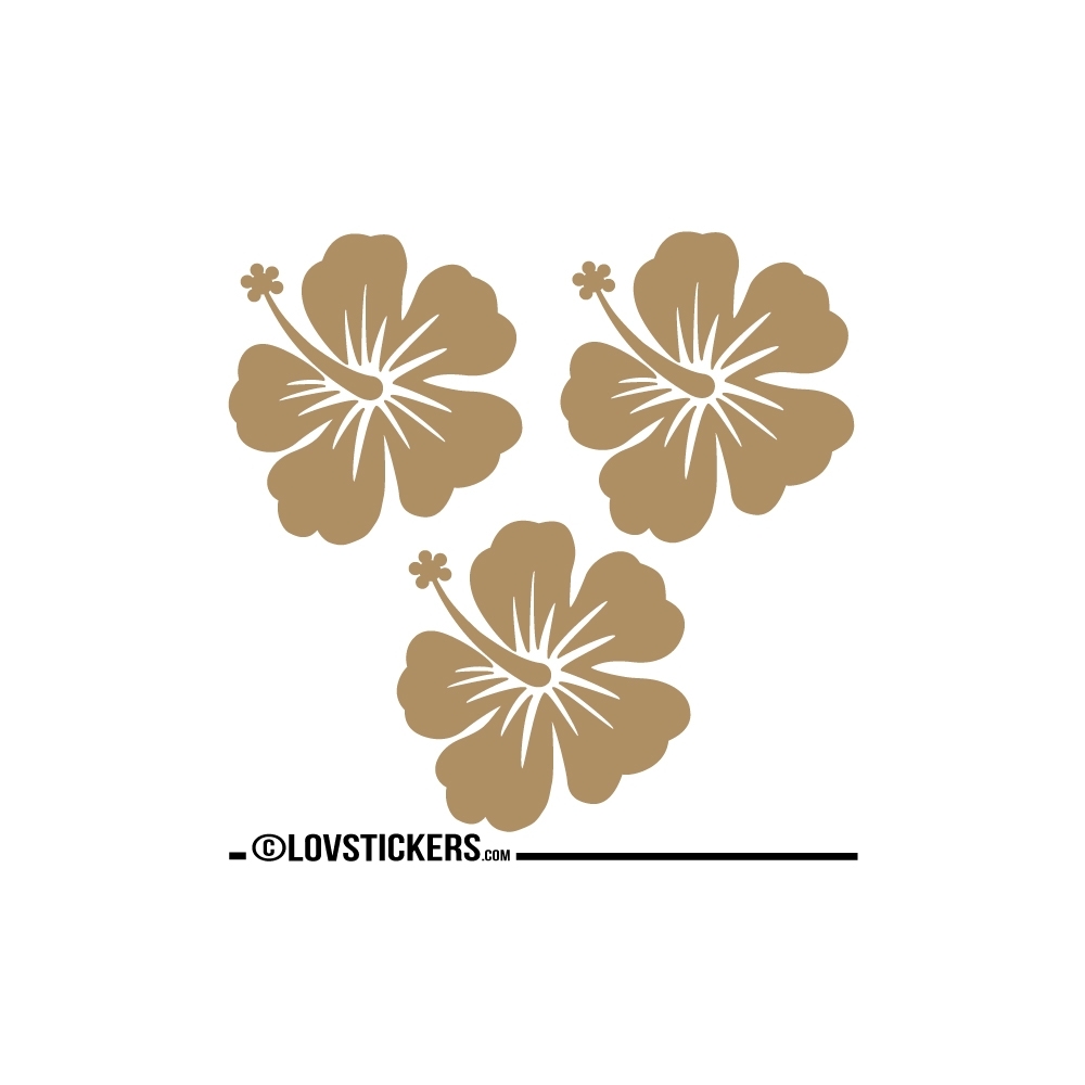 3 Sticker Hibiscus 20 cm - Décoration intérieur en Vinyle - Nombreux coloris 3 Sticker Hibiscus 20 cm - Décoration intérieur en Vinyle - Nombreux coloris