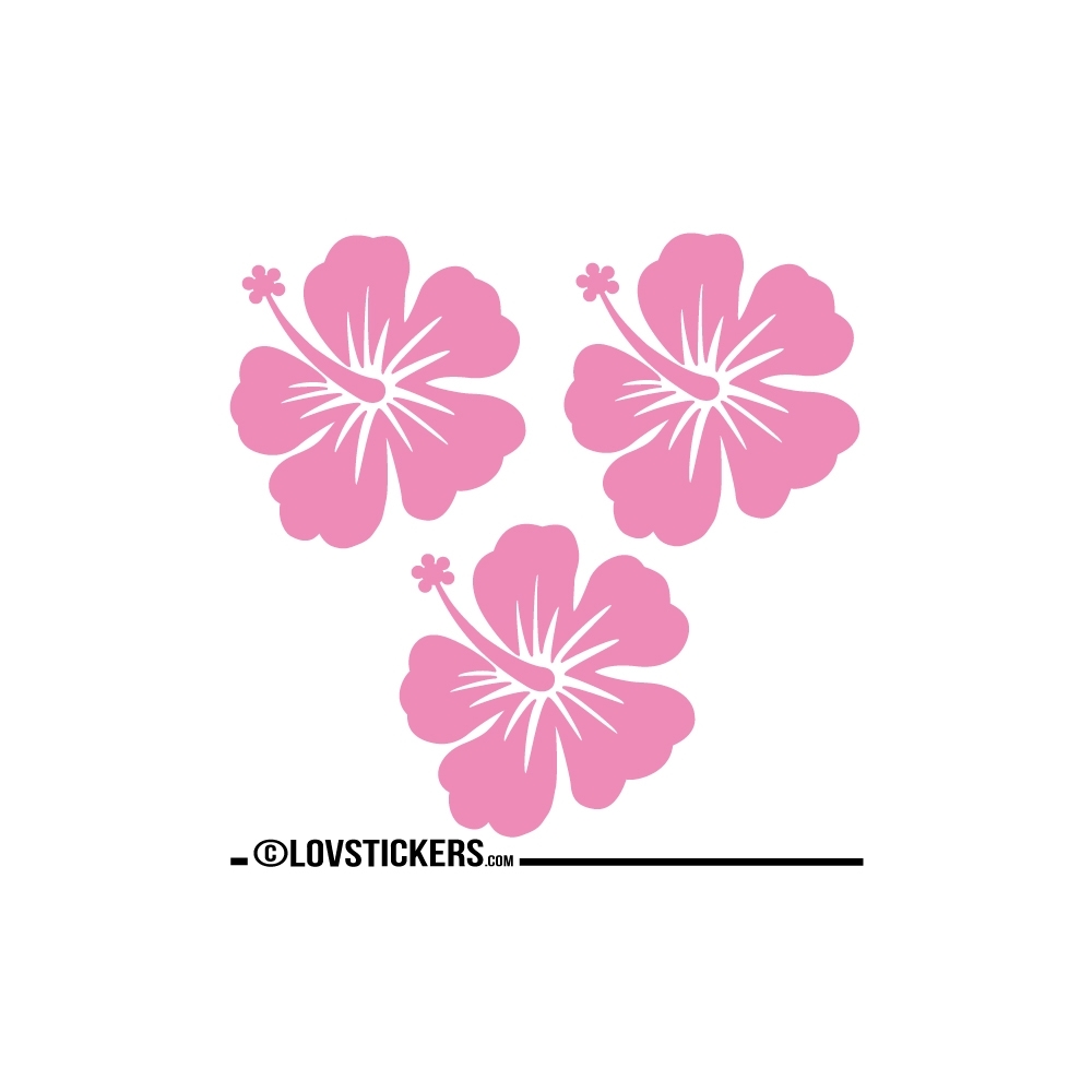 3 Sticker Hibiscus 20 cm - Décoration intérieur en Vinyle - Nombreux coloris 3 Sticker Hibiscus 20 cm - Décoration intérieur en Vinyle - Nombreux coloris