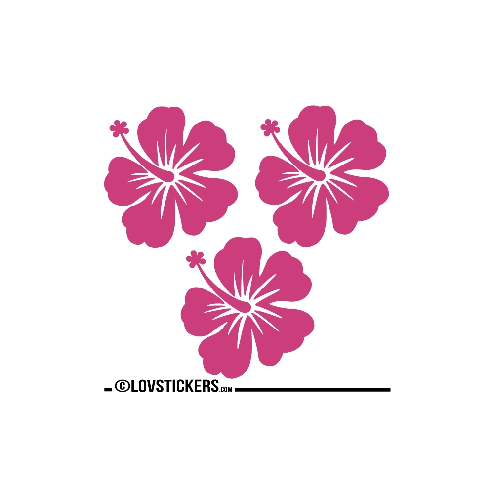 3 Sticker Hibiscus 20 cm - Décoration intérieur en Vinyle - Nombreux coloris 3 Sticker Hibiscus 20 cm - Décoration intérieur en Vinyle - Nombreux coloris