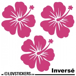 3 Sticker Hibiscus 20 cm - Décoration intérieur en Vinyle - Nombreux coloris