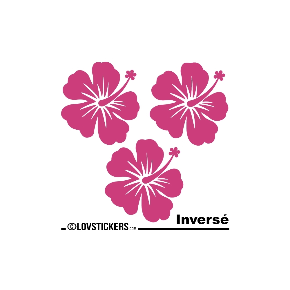 3 Sticker Hibiscus 20 cm - Décoration intérieur en Vinyle - Nombreux coloris