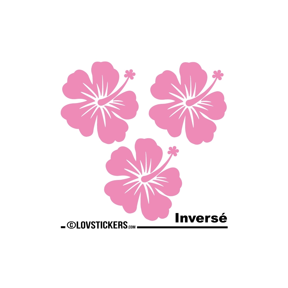 3 Sticker Hibiscus 20 cm - Décoration intérieur en Vinyle - Nombreux coloris