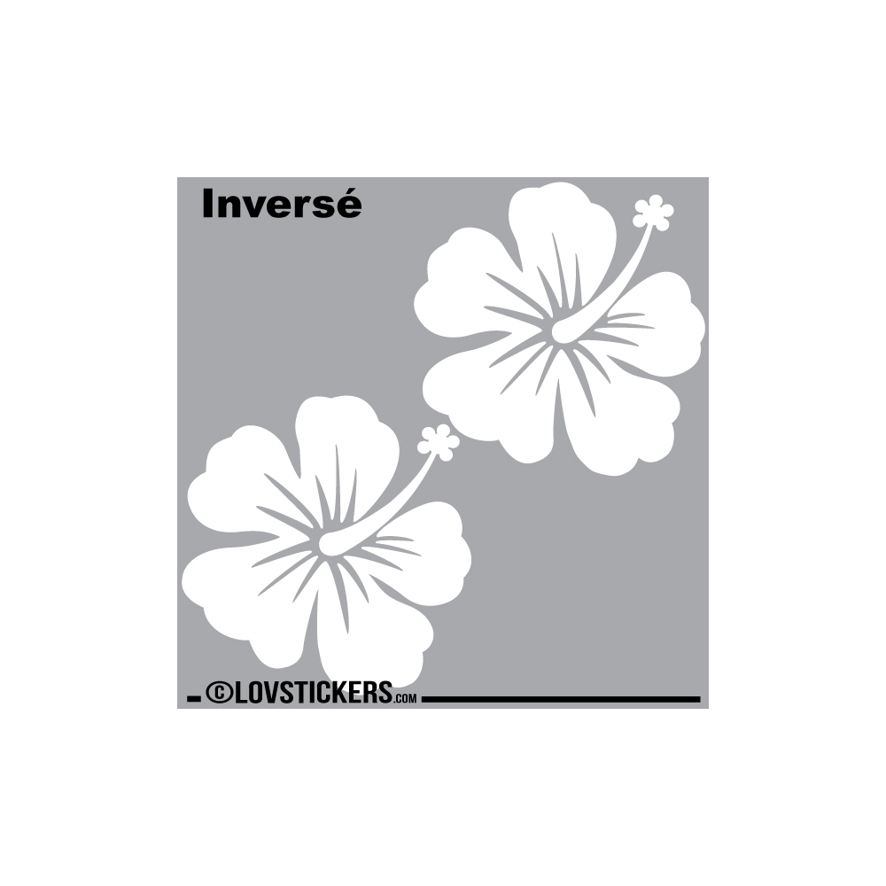 2 Sticker Hibiscus 30 cm - Décoration intérieur en Vinyle - Nombreux coloris