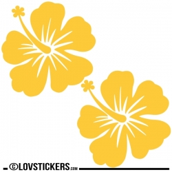 2 Sticker Hibiscus 30 cm - Décoration intérieur en Vinyle - Nombreux coloris