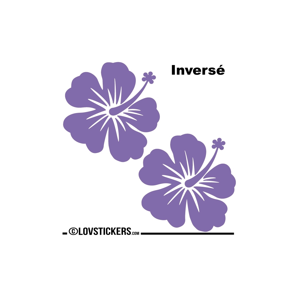 2 Sticker Hibiscus 30 cm - Décoration intérieur en Vinyle - Nombreux coloris