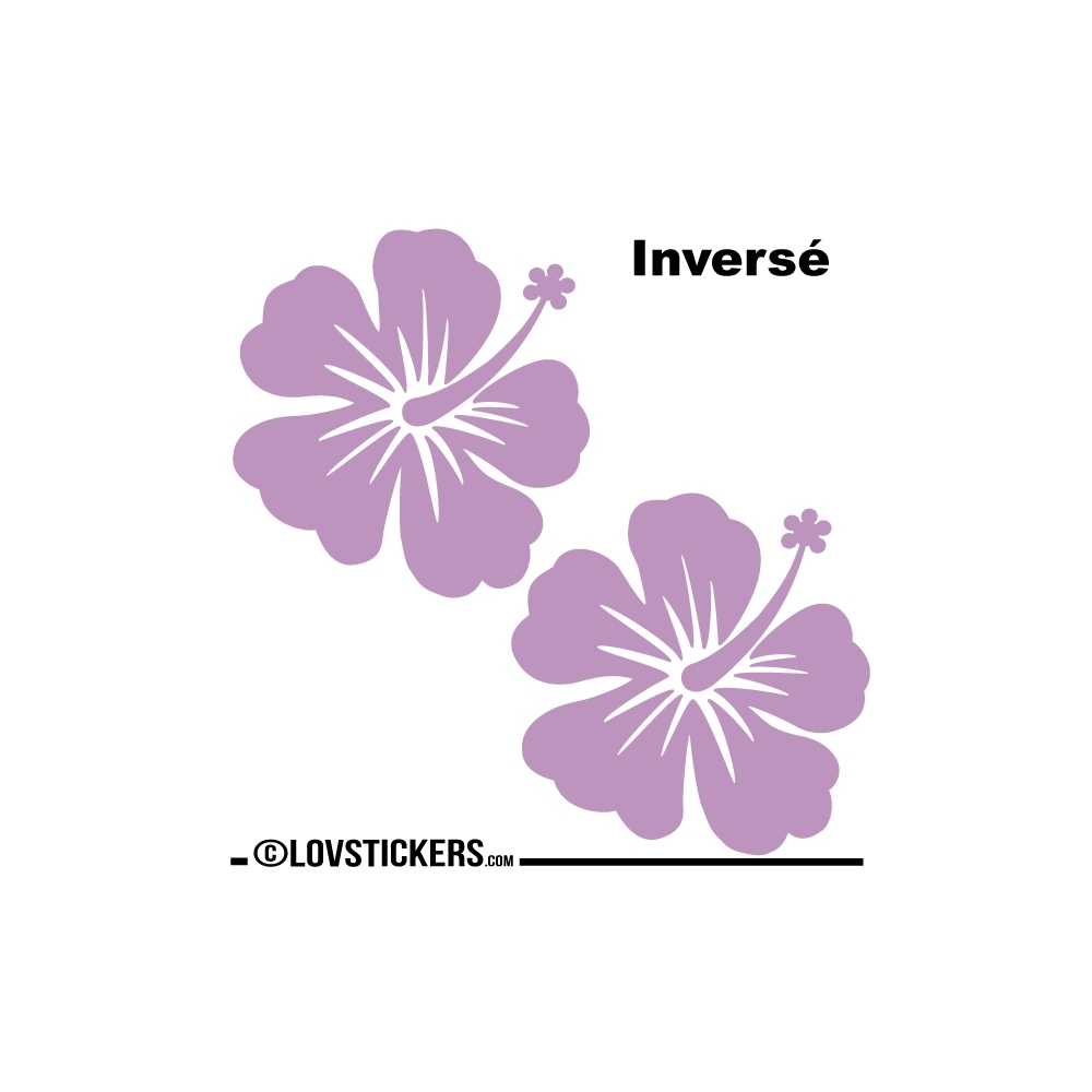 2 Sticker Hibiscus 30 cm - Décoration intérieur en Vinyle - Nombreux coloris