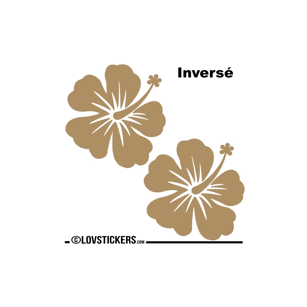 2 Sticker Hibiscus 30 cm - Décoration intérieur en Vinyle - Nombreux coloris