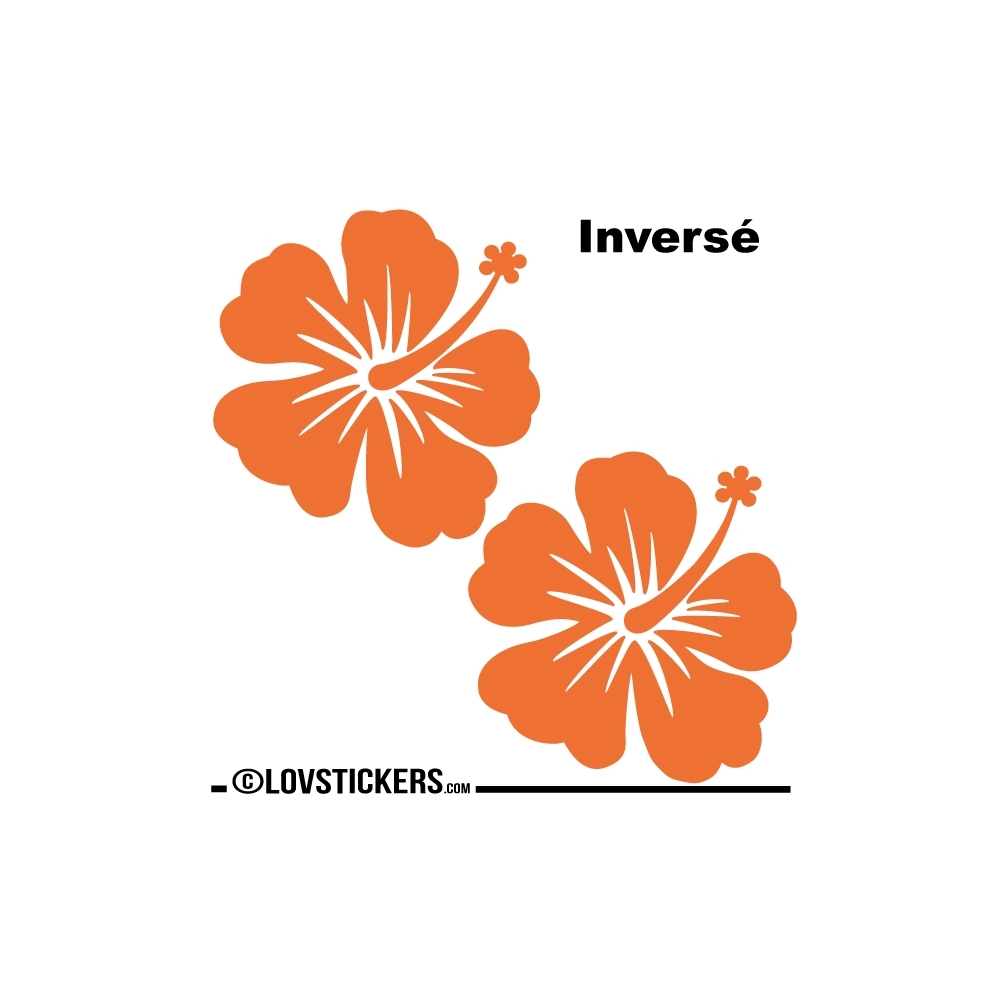 2 Sticker Hibiscus 30 cm - Décoration intérieur en Vinyle - Nombreux coloris