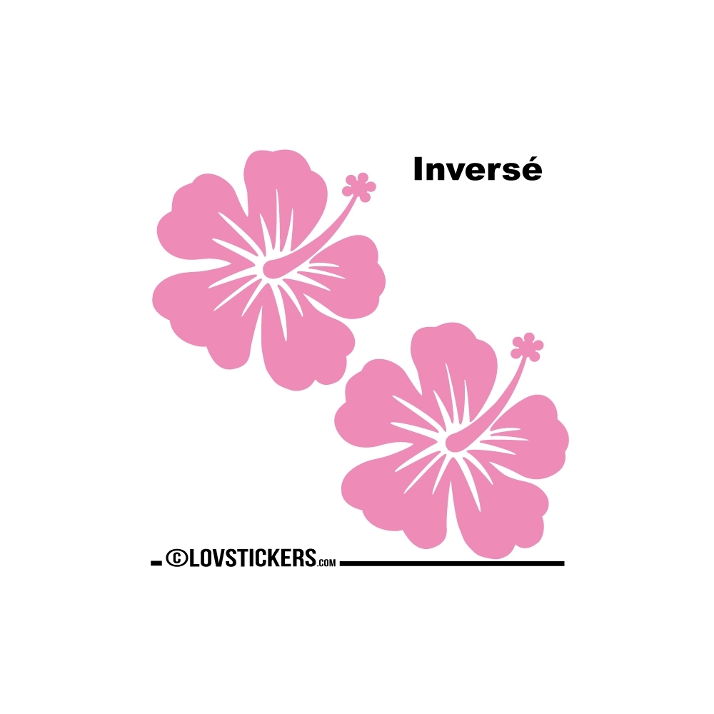 2 Sticker Hibiscus 30 cm - Décoration intérieur en Vinyle - Nombreux coloris