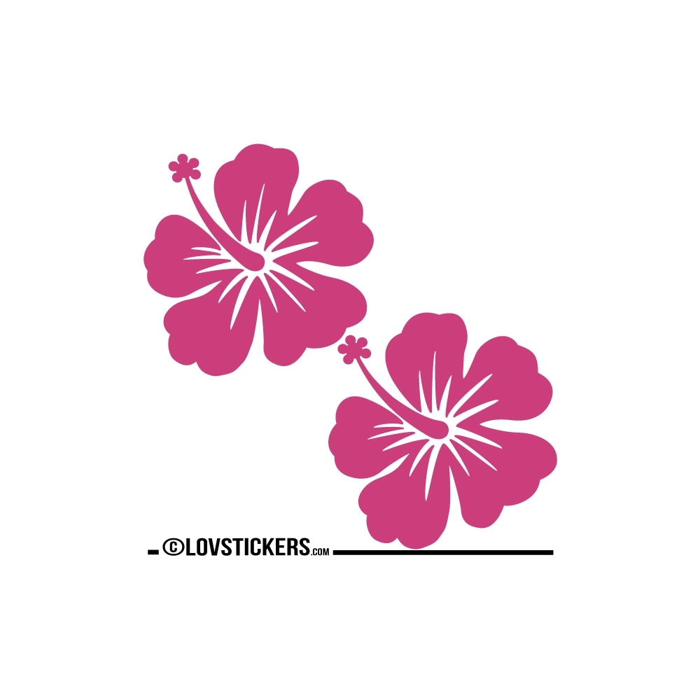 2 Sticker Hibiscus 30 cm - Décoration intérieur en Vinyle - Nombreux coloris