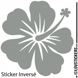 Sticker Hibiscus 60 cm - Décoration intérieur en Vinyle - Nombreux coloris