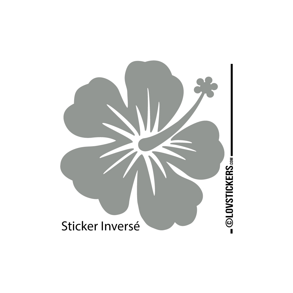 Sticker Hibiscus 60 cm - Décoration intérieur en Vinyle - Nombreux coloris