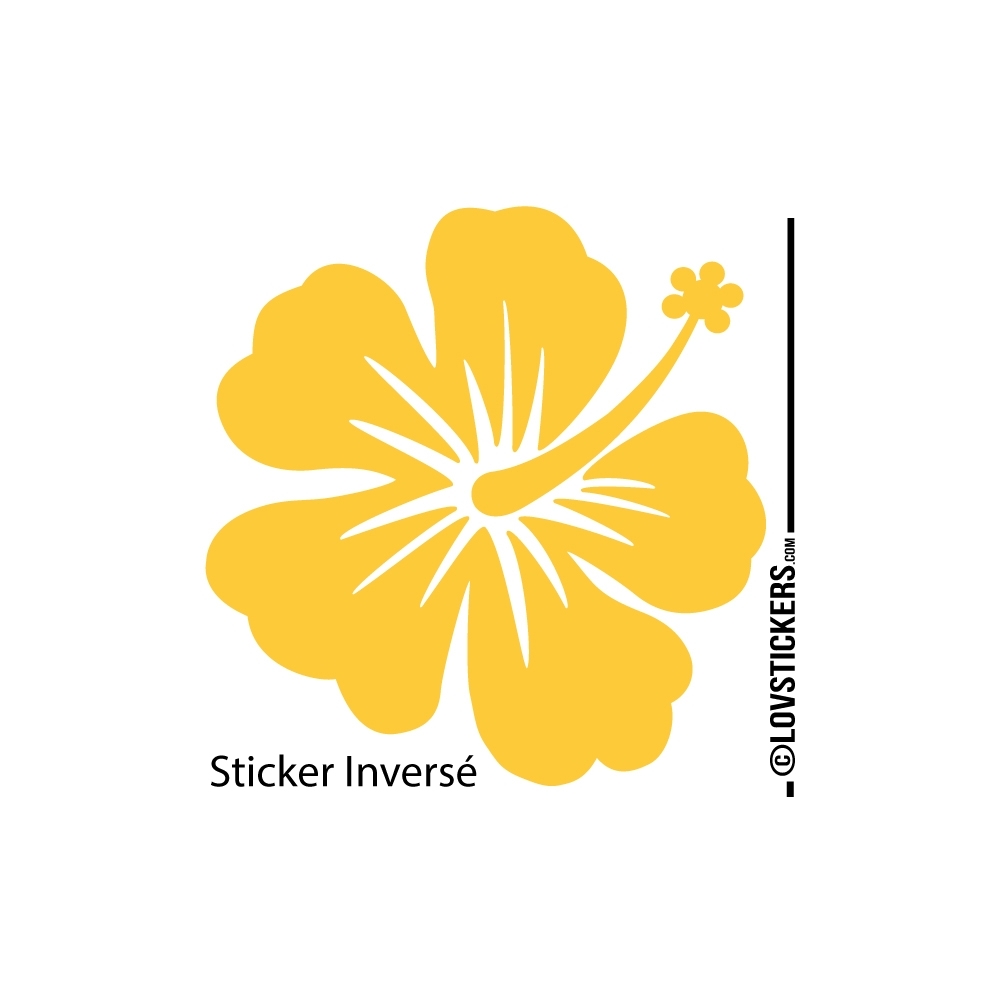 Sticker Hibiscus 60 cm - Décoration intérieur en Vinyle - Nombreux coloris