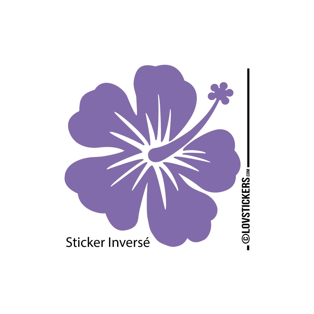 Sticker Hibiscus 60 cm - Décoration intérieur en Vinyle - Nombreux coloris