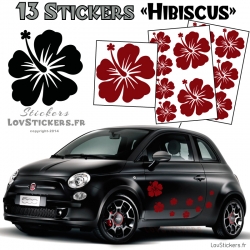 13 Stickers Hibiscus  - Deco auto voiture