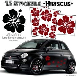 13 Stickers Hibiscus  - Deco auto voiture