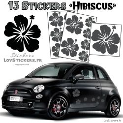 13 Stickers Hibiscus  - Deco auto voiture