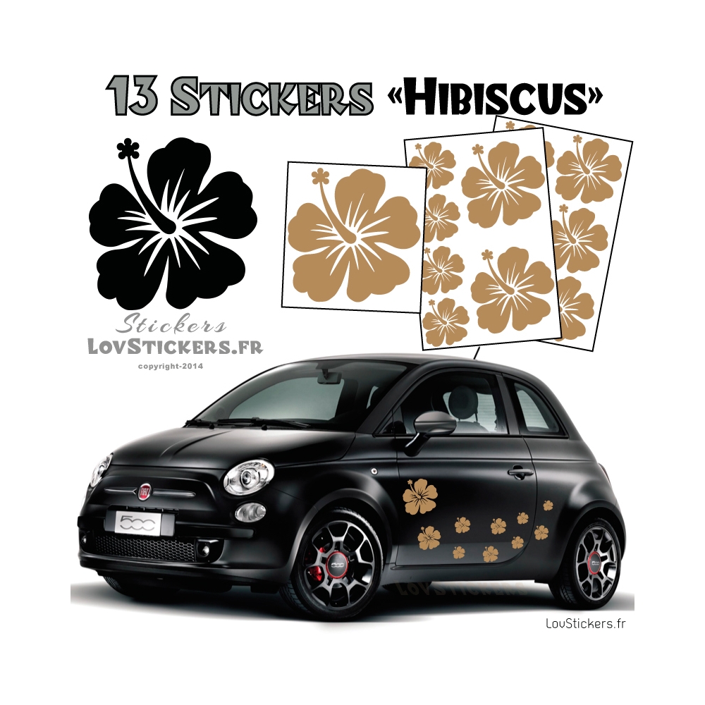 13 Stickers Hibiscus  - Deco auto voiture