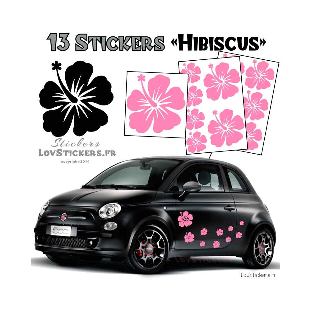 13 Stickers Hibiscus  - Deco auto voiture